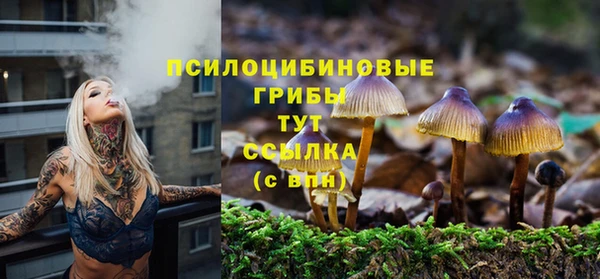 сатива Верхнеуральск