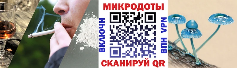 kraken зеркало  Чудово  маркетплейс телеграм  Псилоцибиновые грибы ЛСД 